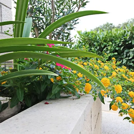 Garden House Vakantiehuis *