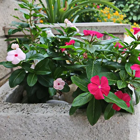 Vakantiehuis Garden House