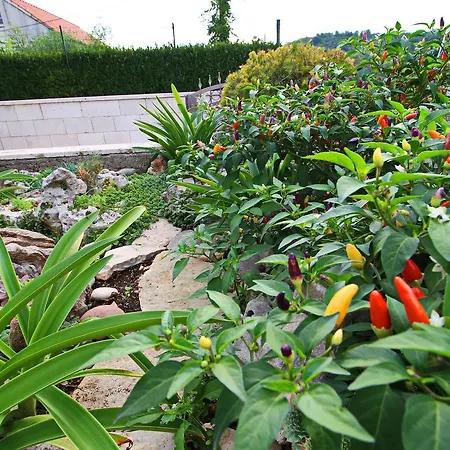 Garden House *