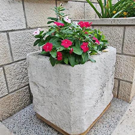 Garden House Hébergement de vacances