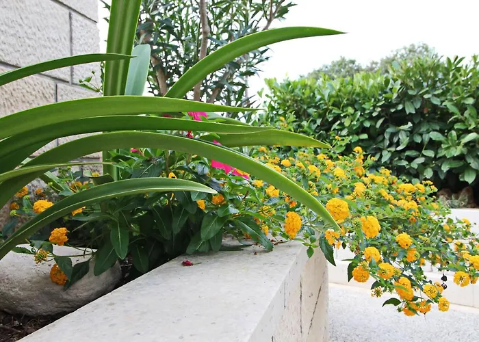 Garden House Semesterbostad *