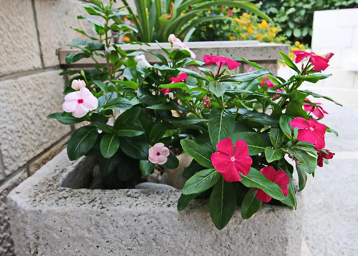 Semesterbostad Garden House