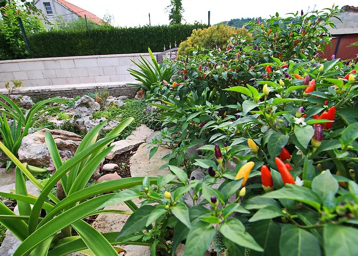 Garden House *